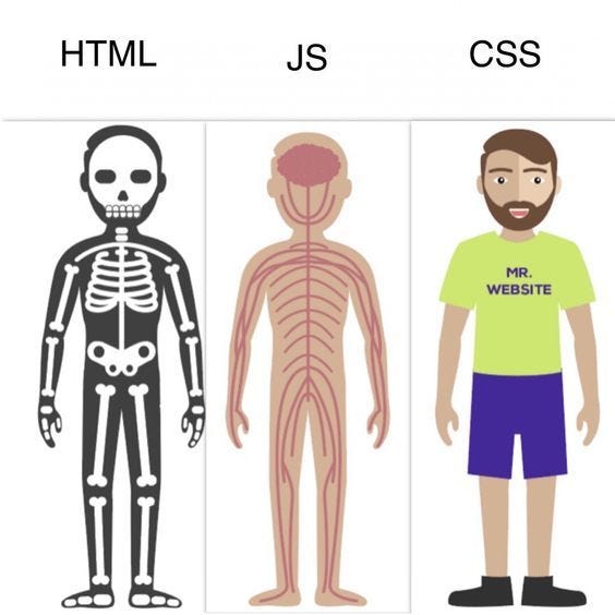 HTML, CSS, JavaScript